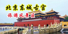 裸女被狂操网站中国北京-东城古宫旅游风景区